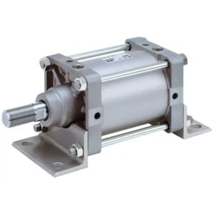 CDS2WB250TF-310 Стандартный пневмоцилиндр